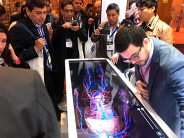 Installation and training of the Anatomage virtual anatomical dissection table.